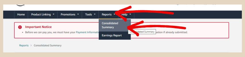 amazon consolidated summary