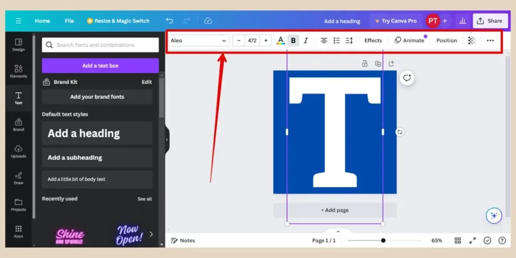 canva design format options