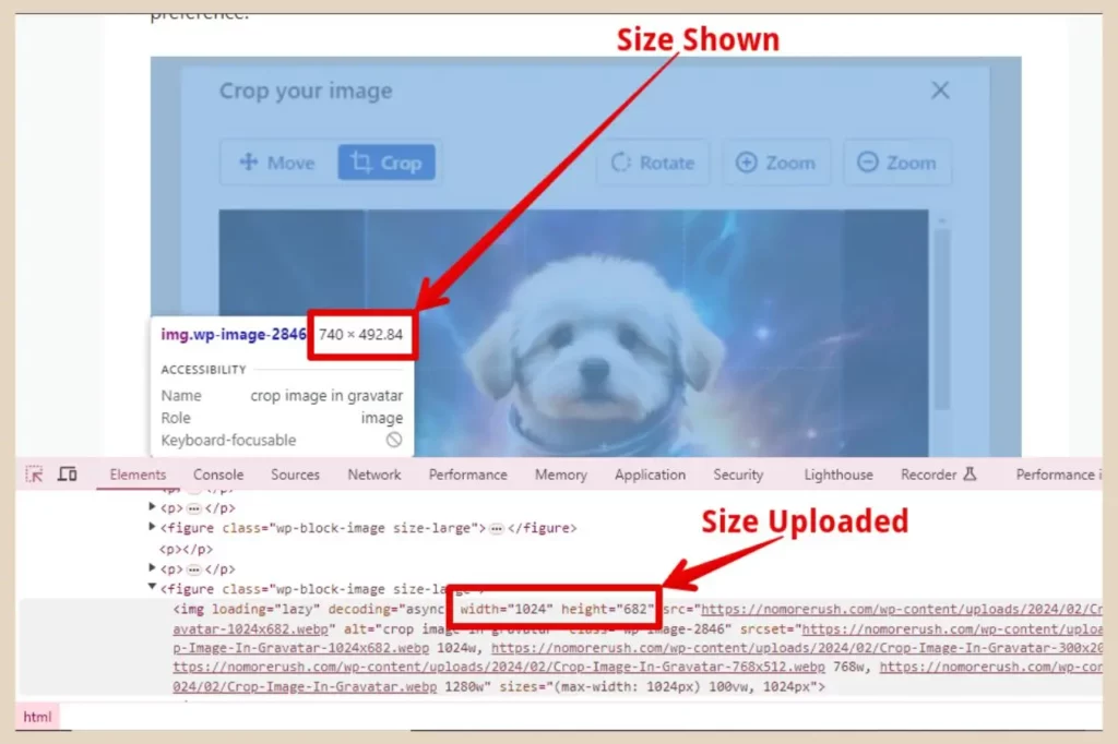 inspect image sizes